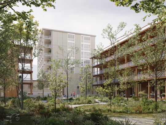 Siegerprojekt Aeschbachquartier Baufeld 3